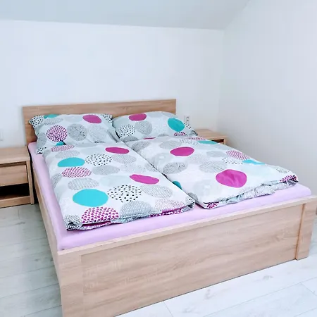 Comenius - Na Rohu Svidnik