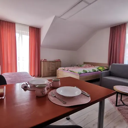 Apartmán Comenius - Na Rohu Svidnik